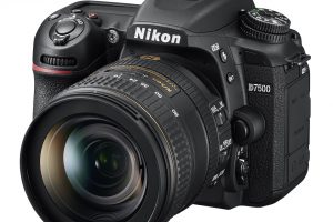 Nikon D7500: Amateurin mit Profi-Ambitionen